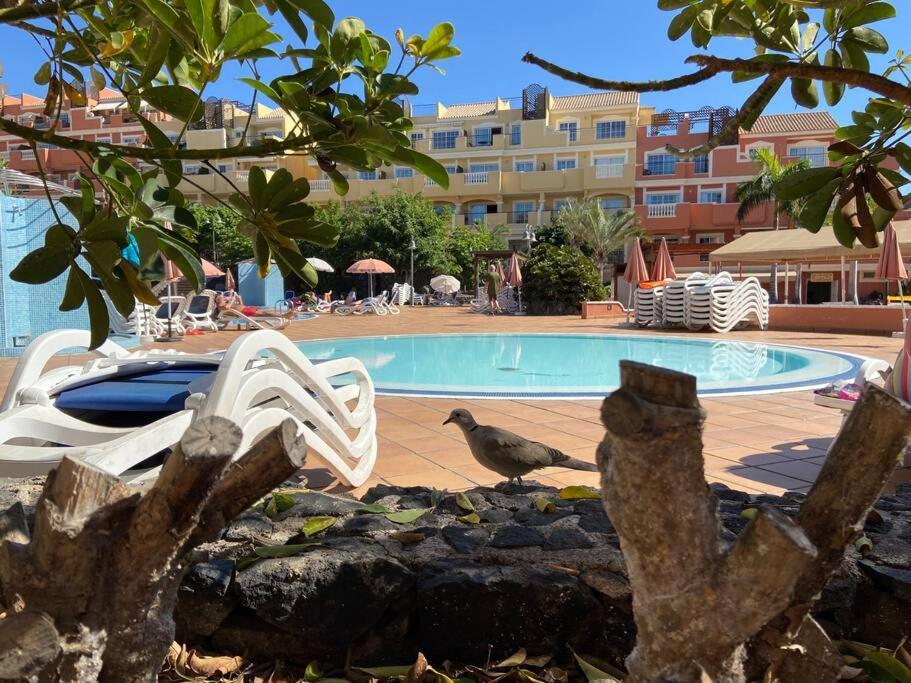Ferienwohnung Amazing Penthouse Los Cristianos  Exterior foto